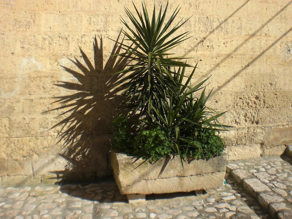 Casa Vacanza "Nel Cuore Dei Sassi" Apartments Matera Exterior foto